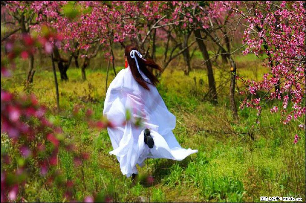 【春天，广西桂林灌阳县向您发出邀请！】官庄村有个醉美的桃花园 - 游山玩水 - 白银生活社区 - 白银28生活网 by.28life.com