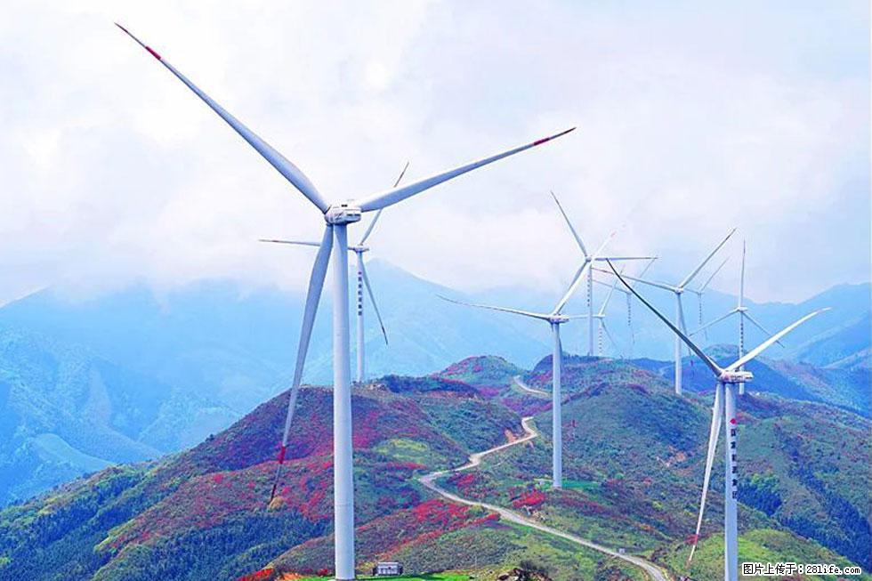 【春天,广西桂林灌阳县向您发出邀请!】春木界上映山红 - 游山玩水 - 白银生活社区 - 白银28生活网 by.28life.com