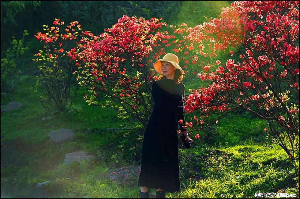 【春天,广西桂林灌阳县向您发出邀请!】春木界上映山红 - 游山玩水 - 白银生活社区 - 白银28生活网 by.28life.com