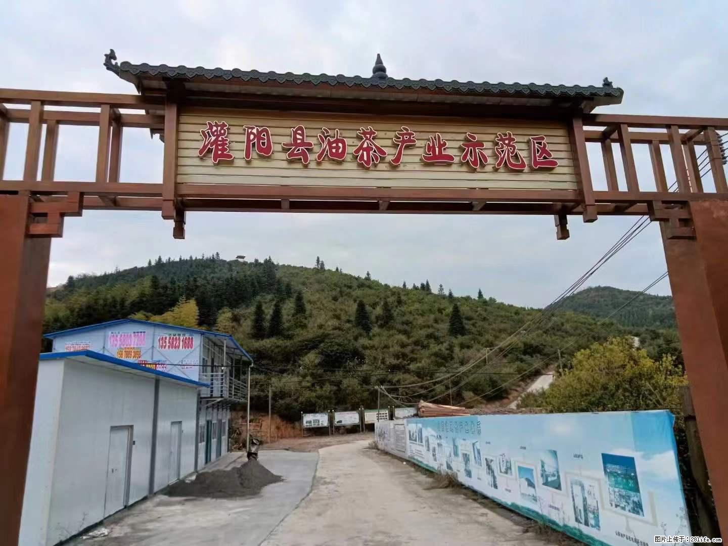 【灌阳县油茶产业示范区】一个有着充实的精神生活的人,对待身外之物自会有一种淡泊的态度 - 美食天地 - 白银生活社区 - 白银28生活网 by.28life.com