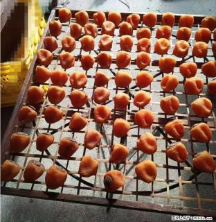 广西桂林平乐桥亭【柿饼之乡】2025年纯手工制作、无任何添加剂的第一批柿饼准备上市了，欢迎联系订购！ - 白银28生活网 by.28life.com