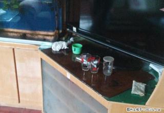 市一中附近 两室两厅 南北 - 白银28生活网 by.28life.com