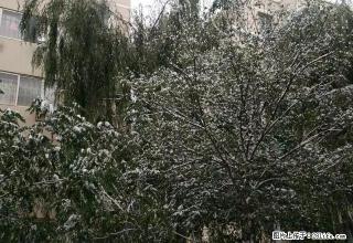 银光忠字门菜市场附近 平方出租 可当库房 - 白银28生活网 by.28life.com