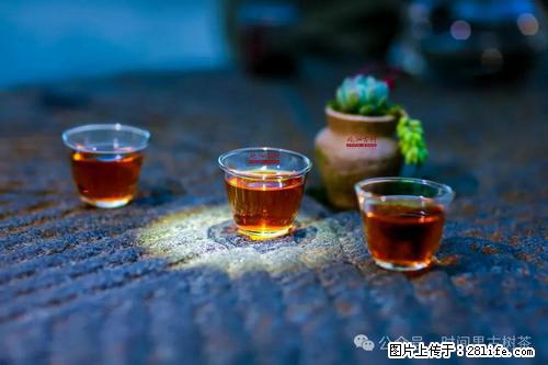 时间果百年古树2025年春红茶 - 购物交流 - 白银生活社区 - 白银28生活网 by.28life.com