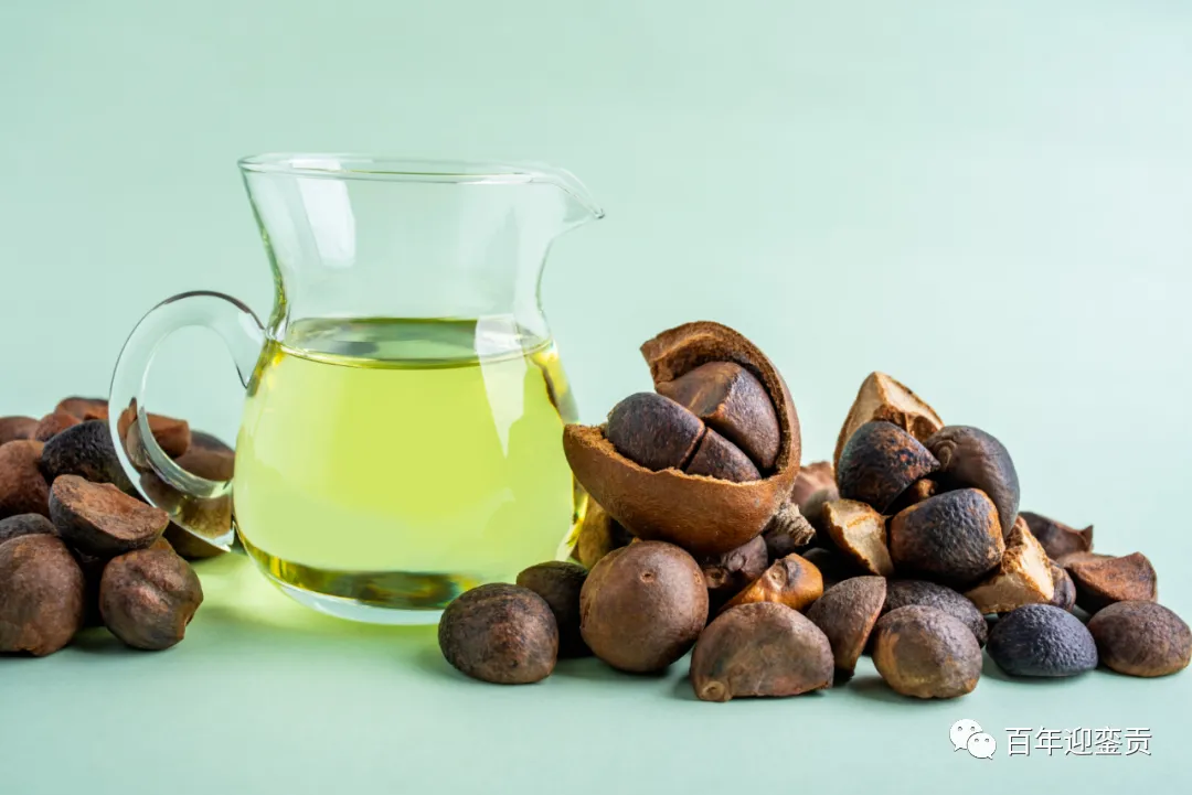 世界没有真相,只有认知,最好的食用油是中国的山茶油! - 白银生活资讯 - 白银28生活网 by.28life.com