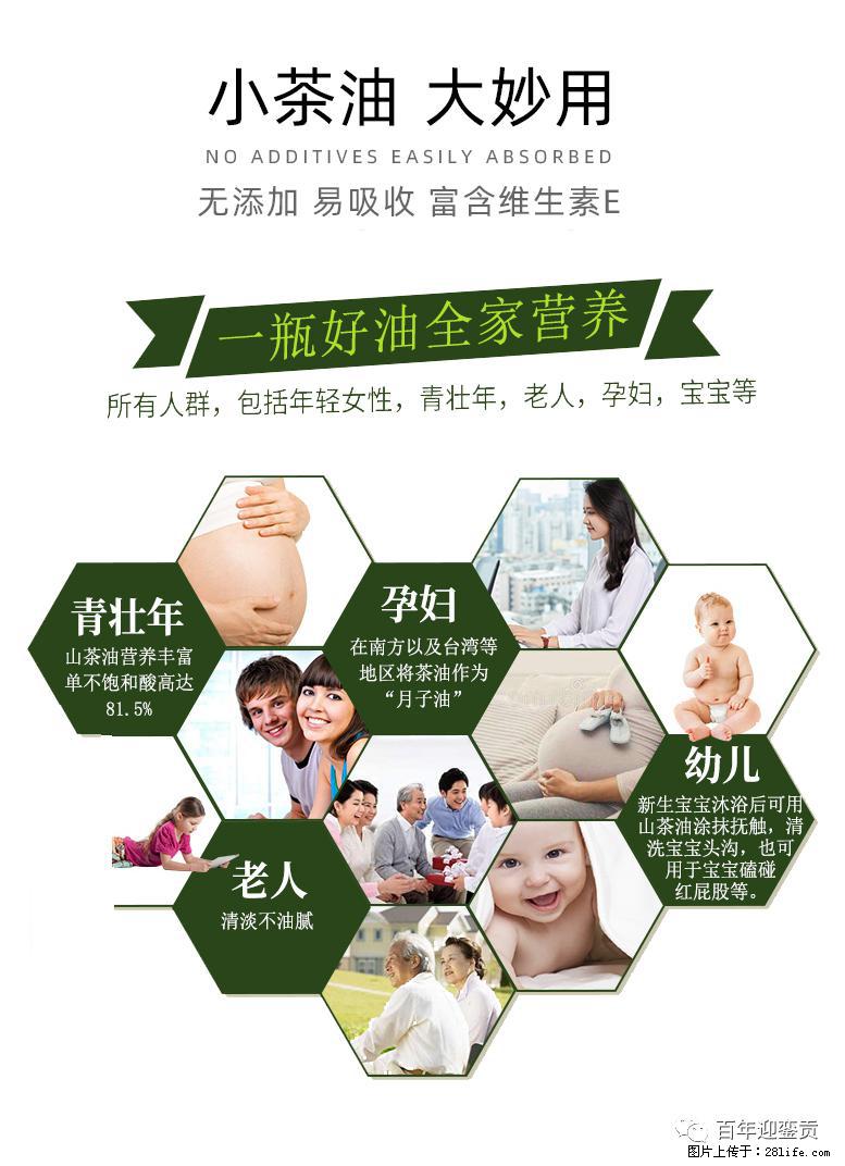 世界没有真相,只有认知,最好的食用油是中国的山茶油! - 白银生活资讯 - 白银28生活网 by.28life.com