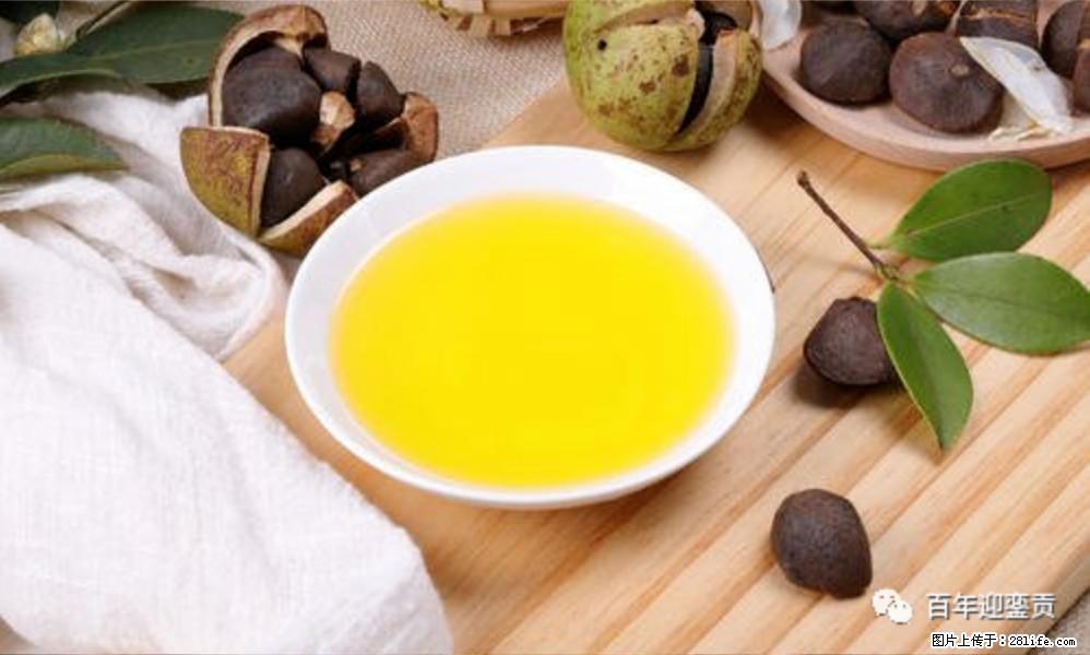 世界没有真相,只有认知,最好的食用油是中国的山茶油! - 白银生活资讯 - 白银28生活网 by.28life.com