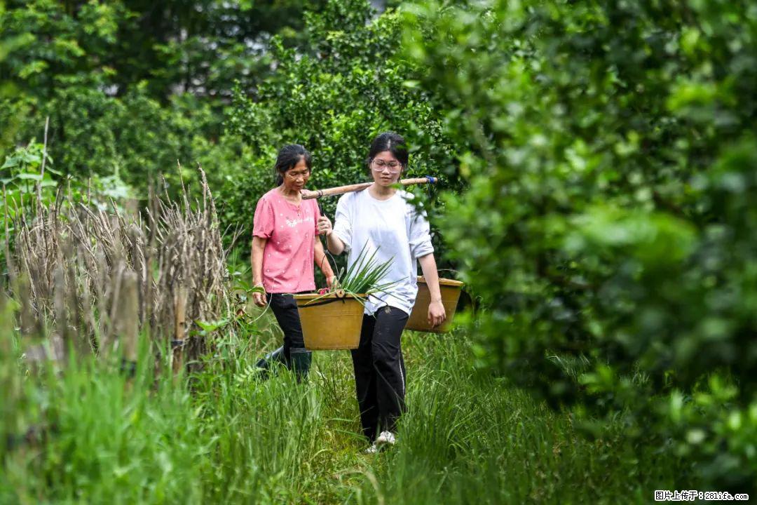 全网追的“扁担女孩”,找了一份暑假工,时薪12元 - 白银生活资讯 - 白银28生活网 by.28life.com