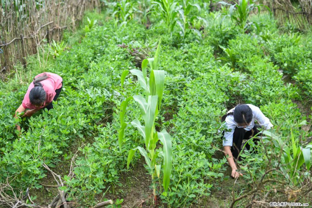 全网追的“扁担女孩”,找了一份暑假工,时薪12元 - 白银生活资讯 - 白银28生活网 by.28life.com