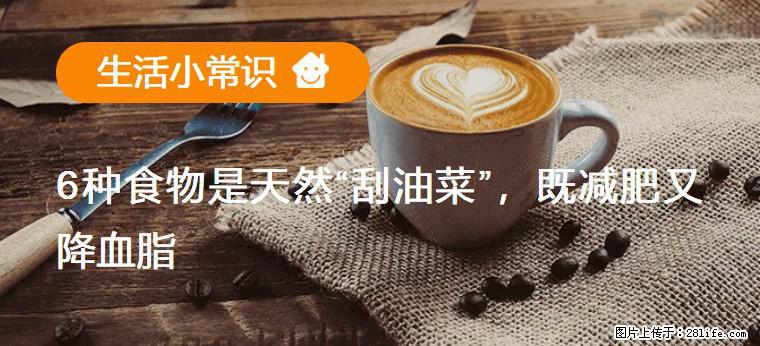 【生活小常识】6种食物是天然“刮油菜”,既减肥又降血脂 - 白银生活资讯 - 白银28生活网 by.28life.com