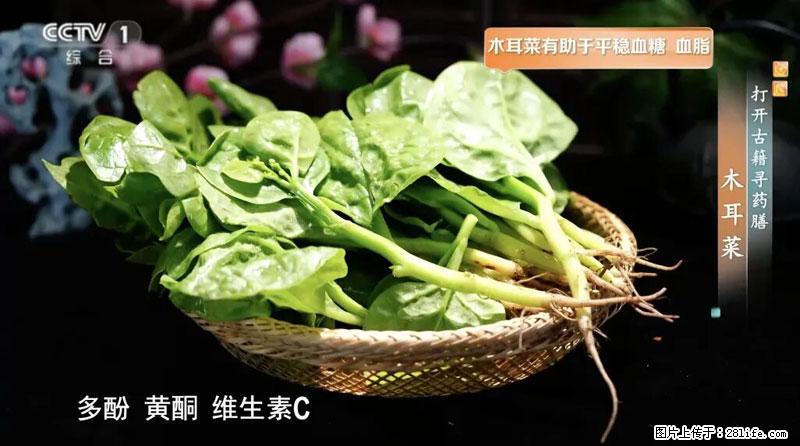 比牛奶补钙还厉害!凉血解毒、稳血糖...这菜冬天必吃,很多人却当草 - 白银生活资讯 - 白银28生活网 by.28life.com