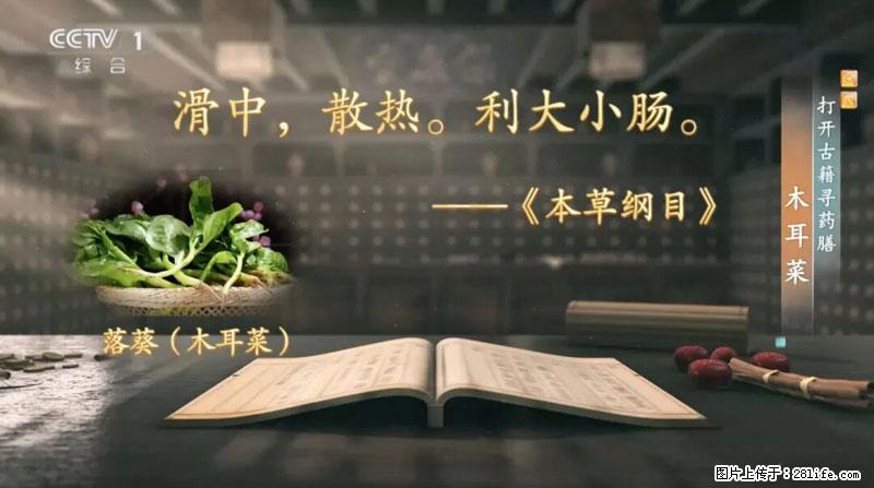 比牛奶补钙还厉害!凉血解毒、稳血糖...这菜冬天必吃,很多人却当草 - 白银生活资讯 - 白银28生活网 by.28life.com