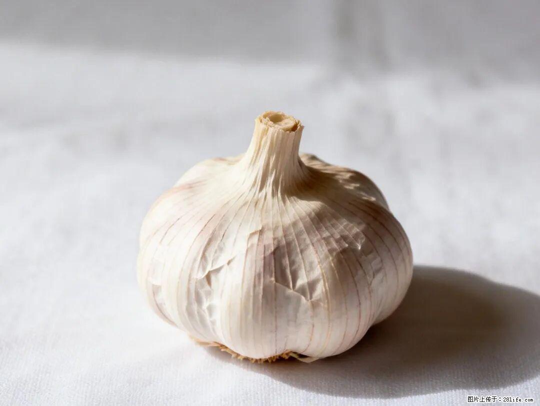 关于大蒜，除了“天然抗生素”，这4个谣言更该警惕! - 白银生活资讯 - 白银28生活网 by.28life.com
