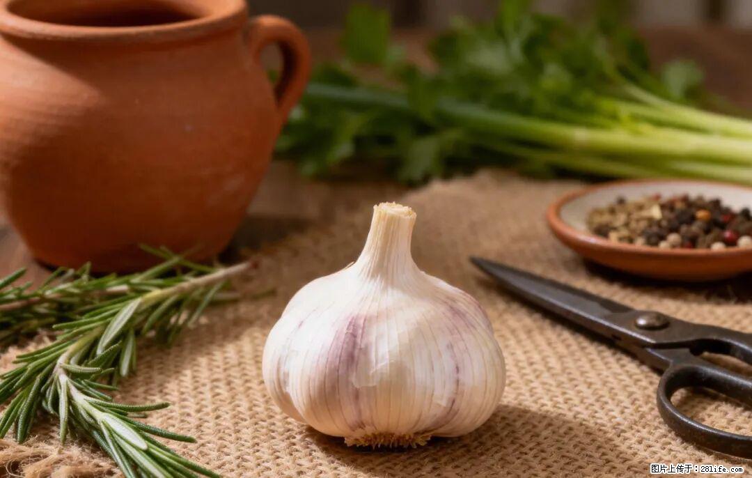 关于大蒜，除了“天然抗生素”，这4个谣言更该警惕! - 白银生活资讯 - 白银28生活网 by.28life.com