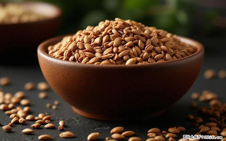 这三苦是三高“克星”,心血管干净不易堵!每天吃一点,指标慢慢降下来~ - 白银生活资讯 - 白银28生活网 by.28life.com