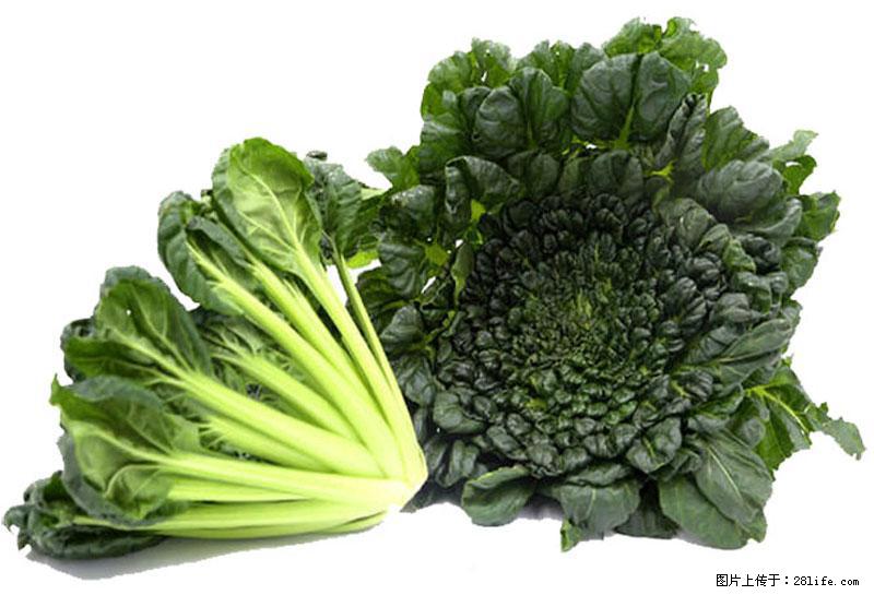 这些蔬菜是“天然钙片”,这6种被医生重点推荐 - 白银生活资讯 - 白银28生活网 by.28life.com
