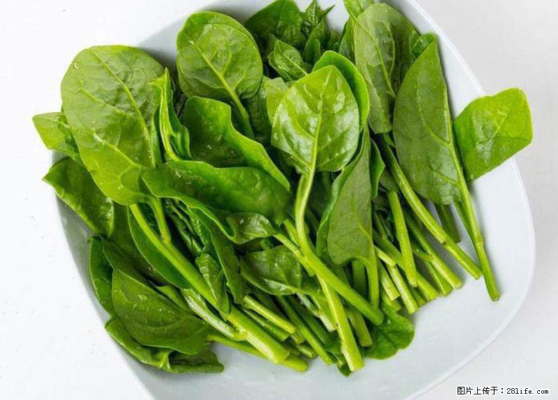 这些蔬菜是“天然钙片”,这6种被医生重点推荐 - 白银生活资讯 - 白银28生活网 by.28life.com