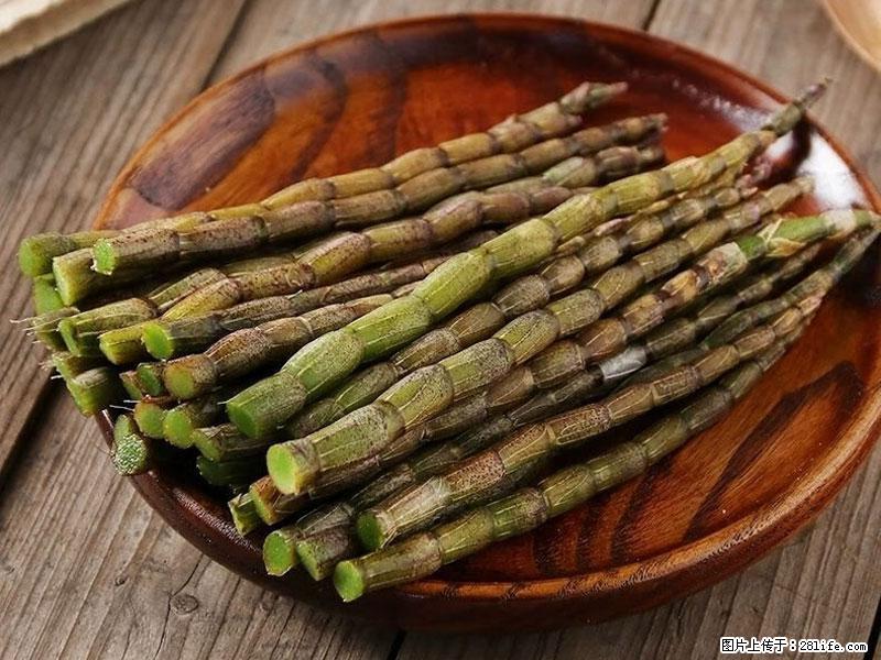 铁皮石斛的作用与功能主治 - 白银生活资讯 - 白银28生活网 by.28life.com
