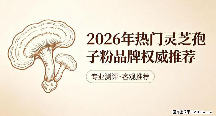灵芝孢子粉含量越高越有效？2026 年七款热门品牌深度实测，肠胃敏感者避坑指南 - 白银生活资讯 - 白银28生活网 by.28life.com
