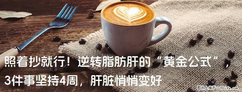 照着抄就行！逆转脂肪肝的“黄金公式”，3件事坚持4周，肝脏悄悄变好 - 白银生活资讯 - 白银28生活网 by.28life.com