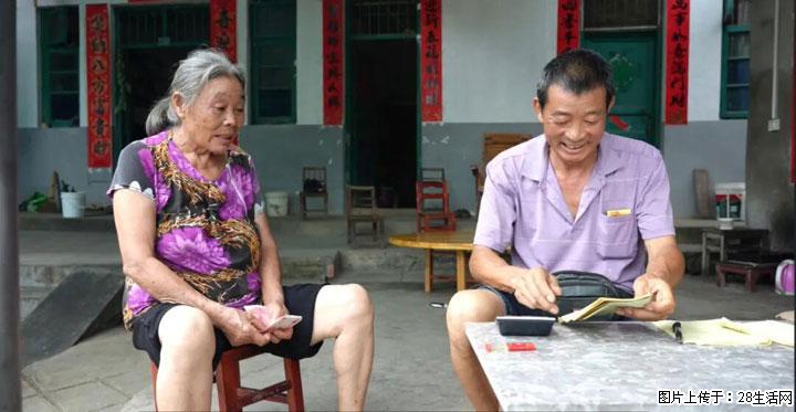 【乡村振兴】广西桂林市灌阳县文市蜂糖李、黄金奈李迎丰产上市季 甜蜜产业助振兴 - 白银生活资讯 - 白银28生活网 by.28life.com