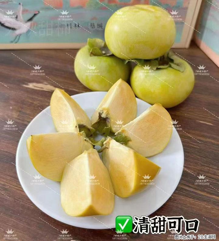 广西桂林平乐桥亭【红心猕猴桃】、【大秋甜柿】上市啦，欢迎各位新老客户下单（另有少量小果出售） - 白银生活资讯 - 白银28生活网 by.28life.com