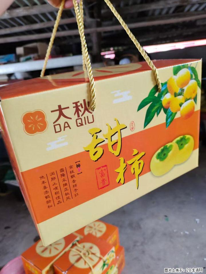 广西桂林平乐桥亭【红心猕猴桃】、【大秋甜柿】上市啦，欢迎各位新老客户下单（另有少量小果出售） - 白银生活资讯 - 白银28生活网 by.28life.com